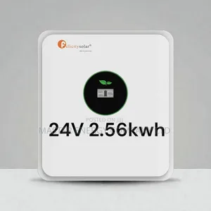 24v 2.56kwh Lithium Ion Battery Felicity JZBZ