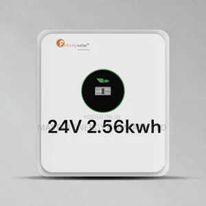 24v 2.56kwh Lithium Ion Battery Felicity NBDHD
