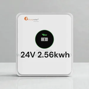 24v 2.56kwh Lithium Ion Battery Felicity MMSB