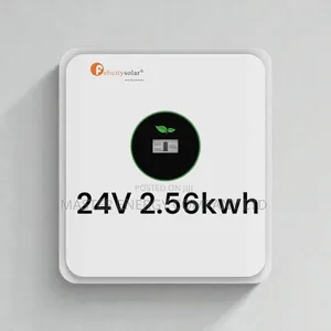 24v 2.56kwh Lithium Ion Battery Felicity NDBXV