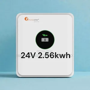 24v 2.56kwh Lithium Ion Battery Felicity JSJSH