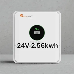 24v 2.56kwh Lithium Ion Battery Felicity MSBDB