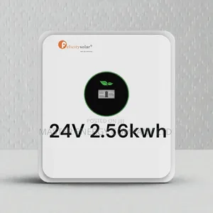 24v 2.56kwh Lithium Ion Battery Felicity NKDJDH