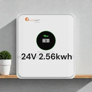 24v 2.56kwh Lithium Ion Battery Felicity NNDHD