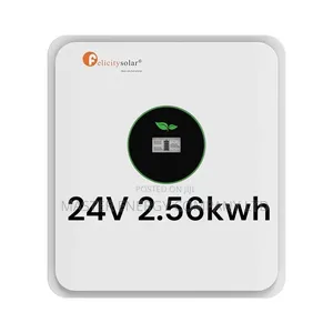 24v 2.56kwh Lithium Ion Battery Felicity KSHDJM
