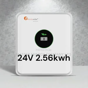 24v 2.56kwh Lithium Ion Battery Felicity MNXNCN