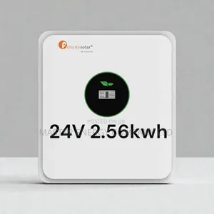 24v 2.56kwh Lithium Ion Battery Felicity NBXBXJ