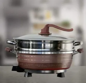 Versatile Electric Multi-Cooker and Steamer Set