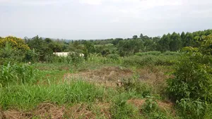 Titled Plots of Land for Sale in Kasaayi Bukerere