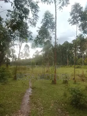 2 Acres of Land for Sale Located in Kamengo Bushenyi Village