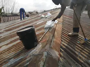 Old Roof Waterproofing | Painting