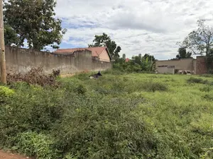 Land in Bajjo,Seeta 50 by 100