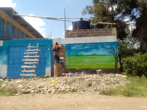 Wall Painting Services