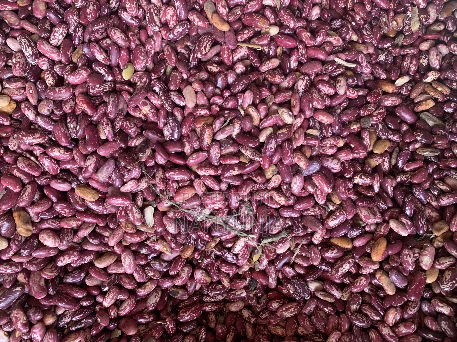 Nabaale Long Beans
