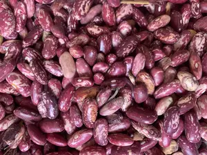 Nabaale Long Beans