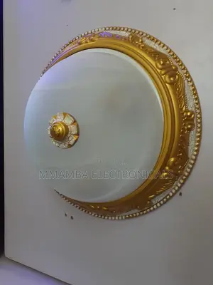 Ceiling Light