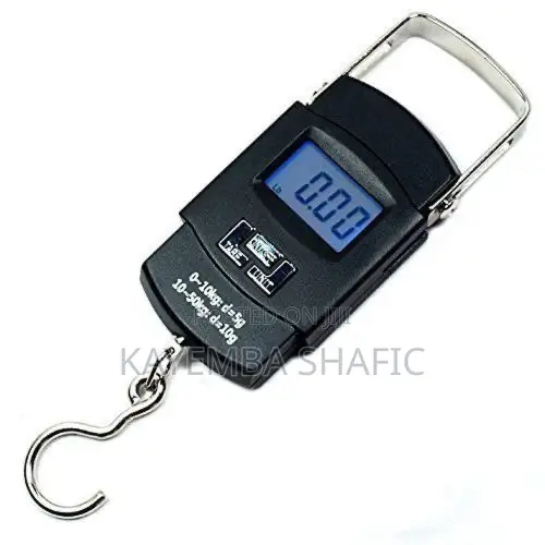 Portable 50kg Digital Weighing Scale