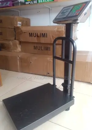 Kitchen Weighing Scale Weigh Platform 170kg Platform Weighing Scale