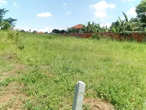 13 Decimals Plot – Kira Kiwogoloma at 80m