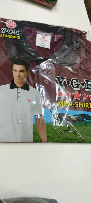 Business Cotton Shirts
