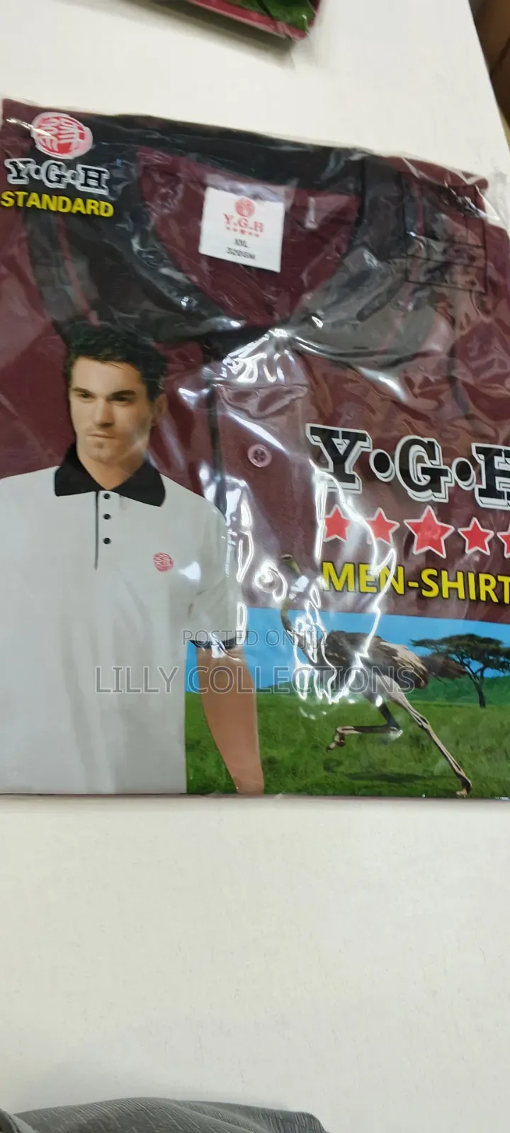 Business Cotton Shirts