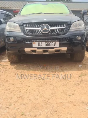 Mercedes-Benz M Class 2010 Black