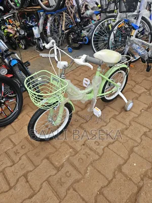 Well Balanced Bicycle/Improved