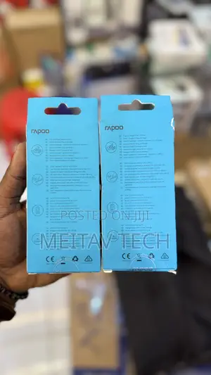 Rapoo 1510 Wireless Optical Mouse