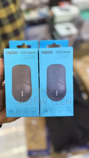 Rapoo 1510 Wireless Optical Mouse