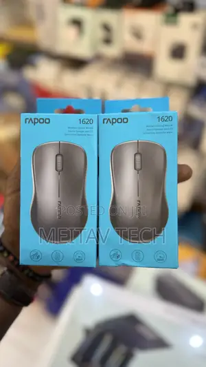 Rapoo 1620 Wireless Mouse
