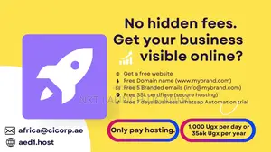 Digital Setup Package (Website, Domain Name, 5 Business Emails, Ssl)
