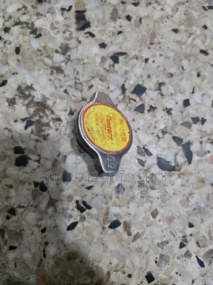 Rav4 Ordinary Radiator Top Cover