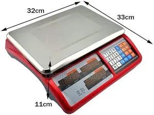 Digital Computing Scale 40kg Capacity