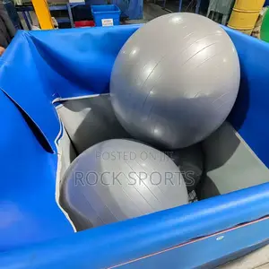Gym Yoga Ball Pumped