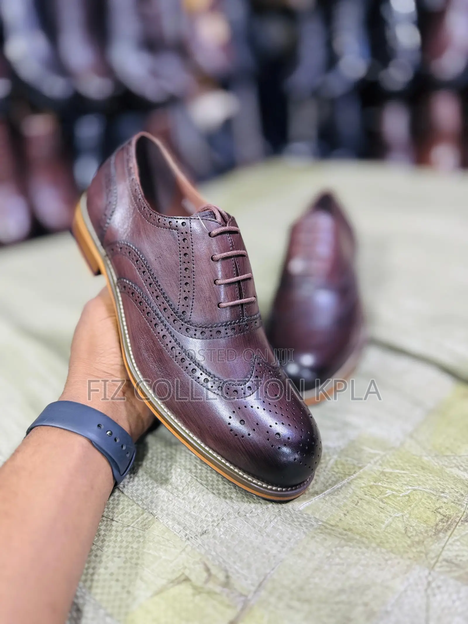Franco Royale Brown Oxford