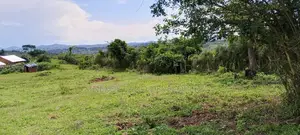 300 Acres of Land Kakungube