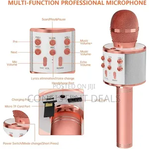 Wireless Microphone