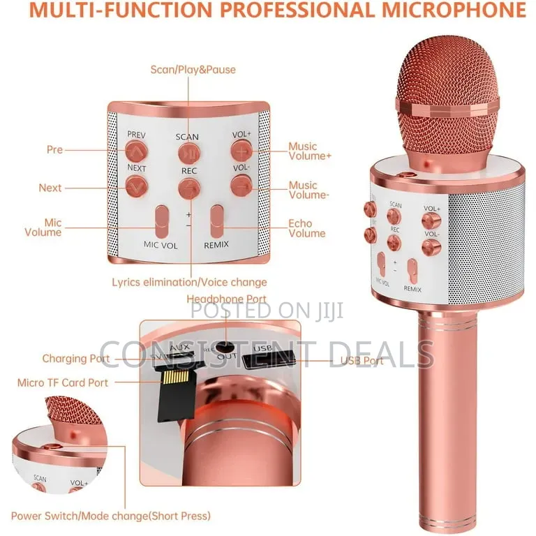 Wireless Microphone