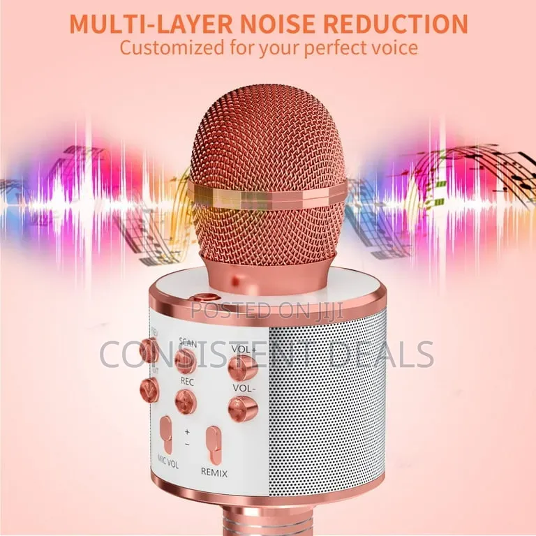 Wireless Microphone