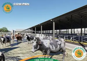 Commercial Dairy Structure Design | Build Services