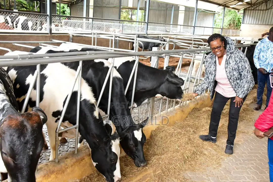Commercial Dairy Structure Design | Build Services