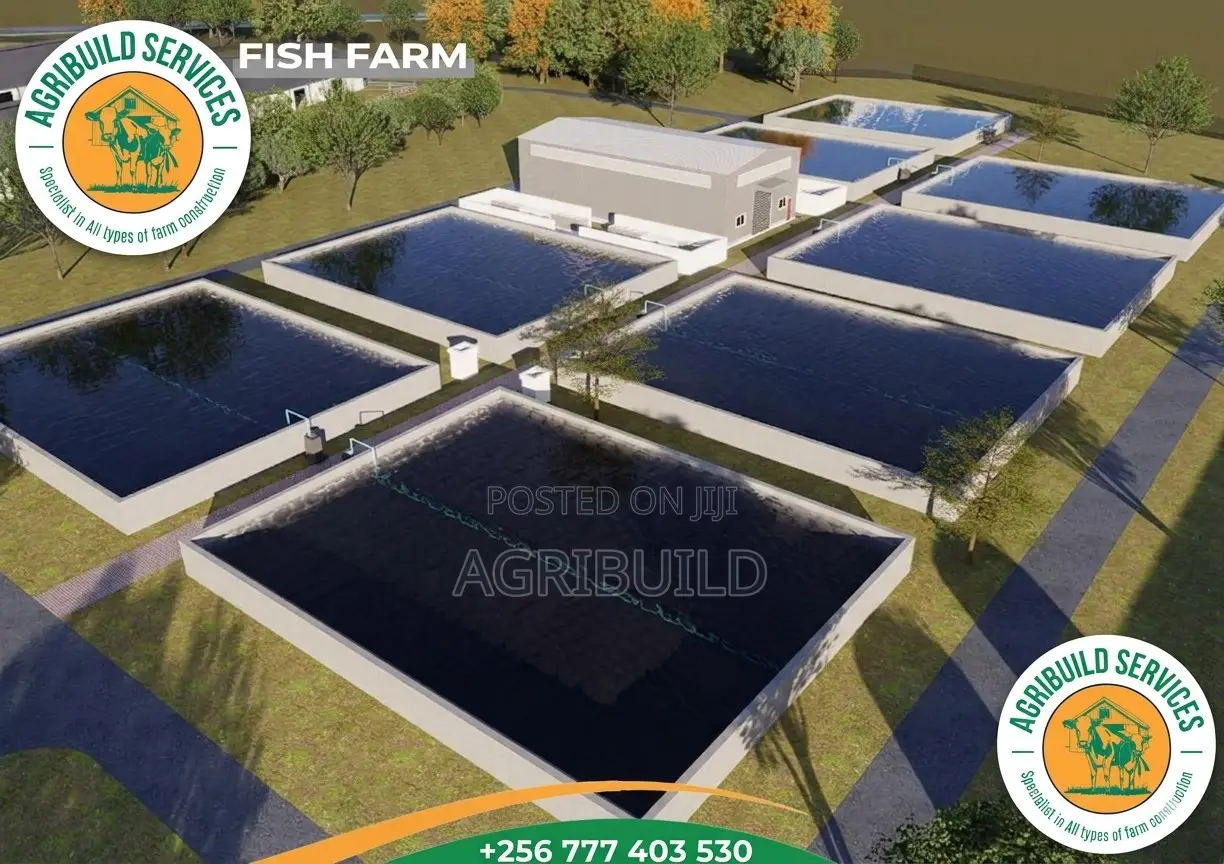 Fish Pond | Tank | Cages Construction