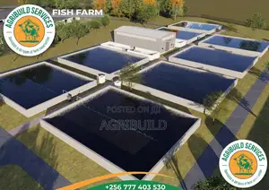 Fish Pond | Tank | Cages Construction