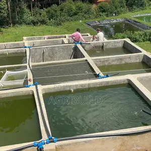 Fish Pond | Tank | Cages Construction