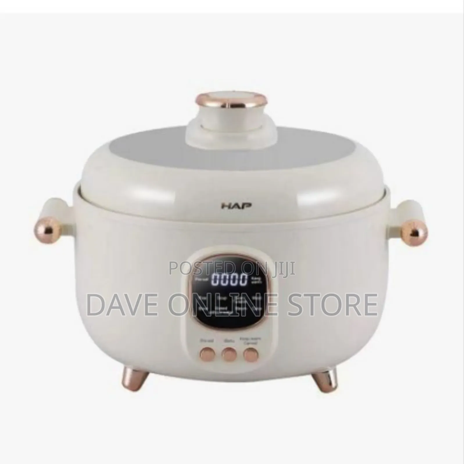 Elegant Multi-Functional Electric Cooker