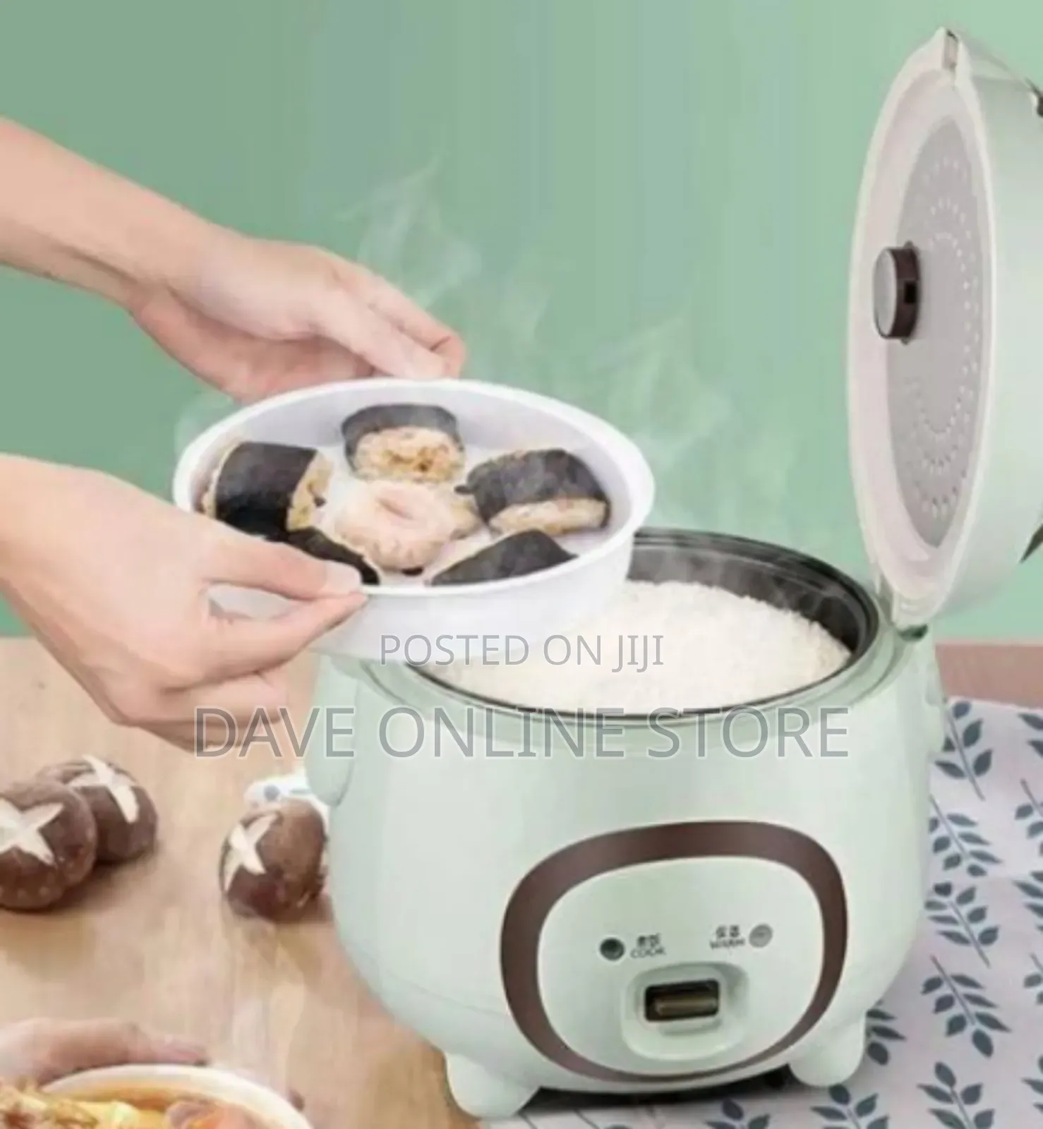 Aide Compact Electric Rice Cooker