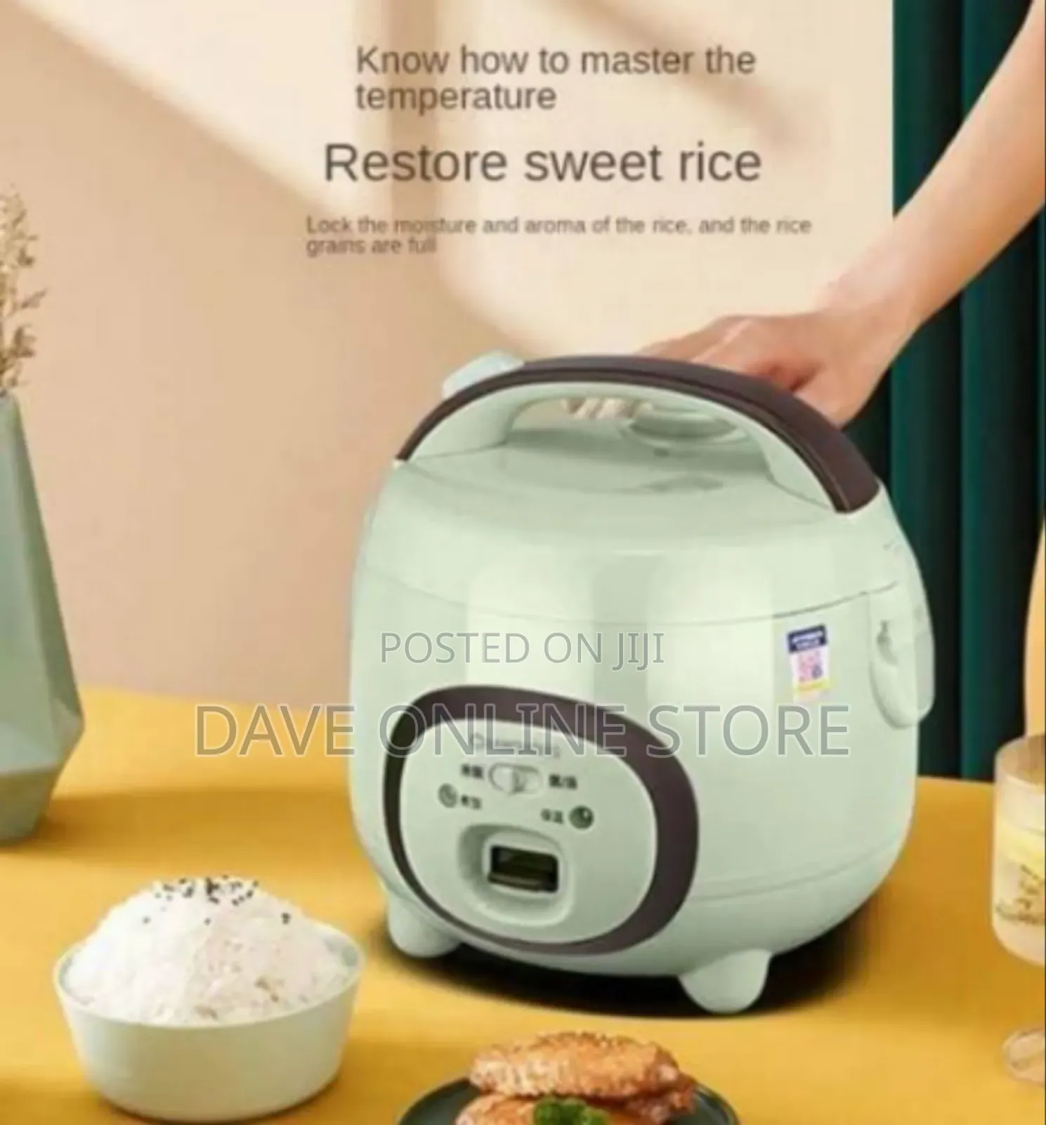 Aide Compact Electric Rice Cooker
