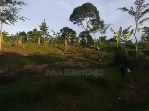 Land for Sale in Masaka