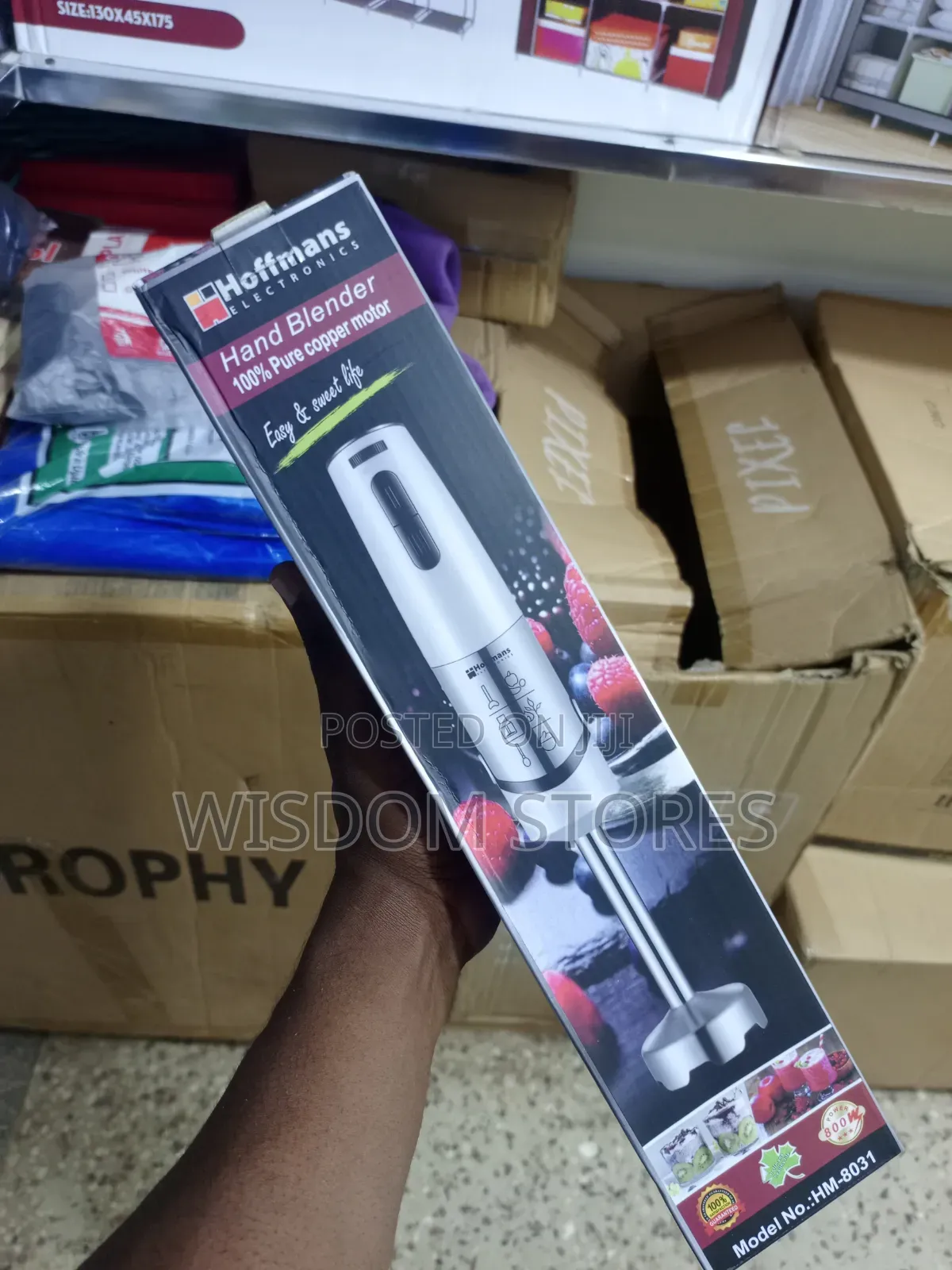 Hoffmans Electronics Hm-8031 Hand Blender