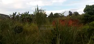 Plot for Sale in Nampunge, Hoima Road.